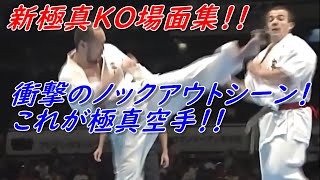 【新極真】極真空手の大会KOシーンは驚愕の一言に尽きる！！ Astonishing knockout scene of Shin Kyokushin Karate [upl. by Bainbridge]