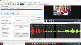 Subtitle Edit Tutorial by VerboLabs  Learn Subtitling  Free Subtitling Tool  Subtitle Editor [upl. by Yrred]