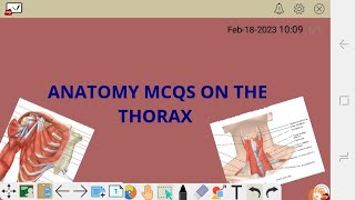 ANATOMY MCQS ON THE THORAX PART 2 [upl. by Lillith]