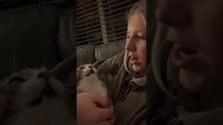 DO NOT KISS ME WOMAN 😾 cats funnyshorts catfacts [upl. by Meehyr]