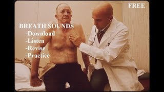 Breath Sounds  Master Auscultation Skills in 10 minutes [upl. by Nnaeiram]