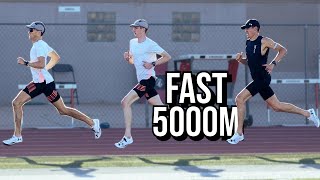 TRAINING FOR A FAST 5000M [upl. by Miett]