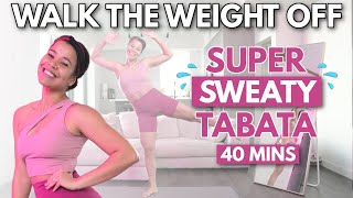 Weight loss Tabata Workout Challenge  No Equipment Warm up amp Cool Down Included [upl. by Tlevesor]