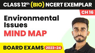 Environmental Issues  Mind Map  Class 12 Biology NCERT Exemplar Chapter 16  CBSE 202425 [upl. by Lucchesi]