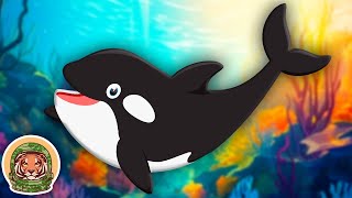 Meet The Orca  Animal Songs For KIds  KLT WILD [upl. by Arbrab]