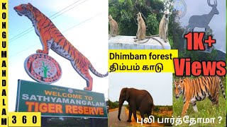 Trip to Dhimbam forestSathyamangalam Tiger ReserveElephantDeer sight in ForestTiger in Forest [upl. by Amla764]