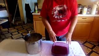 Dyeing with Wild Pokeberry Juice [upl. by Temp]