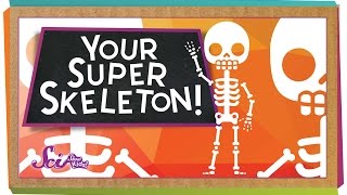 Your Super Skeleton [upl. by Tybalt]