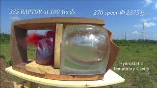 375 RAPTOR BALLISTIC GEL TEST [upl. by Haldeman]