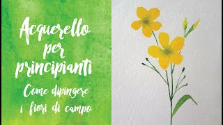 ACQUERELLO PER PRINCIPIANTI  Come dipingere i fiori di campo [upl. by Eyllom]