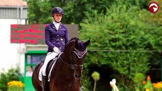 dynasty  dressage  Equestrian Music Video [upl. by Arraeic176]