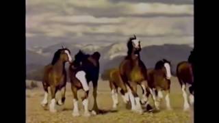 Top 10 Budweiser Super Bowl commercials 1 [upl. by Smail]