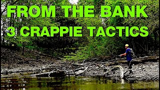 Crappie from the Bank  3 Proven Tactics [upl. by Koran]