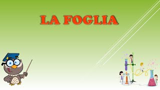 La foglia [upl. by Eedebez165]