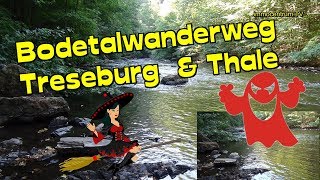 HARZ  Bodetal im Sommer  zwischen Treseburg amp Thale  Wanderweg🐿🦫🦔🦇🦦🦥🐼Videoreiseführer HARZ [upl. by Ardolino505]