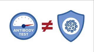 Serologic Testing What Are Antibodies [upl. by Ardnait]