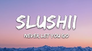 Slushii  Never Let You Go Lyrics ft Sofia Reyes [upl. by Gar]