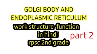 Golgi apparatus  endoplasmic reticulum  golgi body structure and functions cell structure in hindi [upl. by Cirdla]