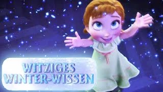 Schneewittchen und die sieben Zwerge märchen  Gutenachtgeschichte für kinder [upl. by Naghem]