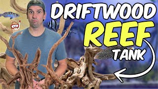 Can I Use Driftwood to Aquascape a Saltwater Reef Tank  The Mangrove Forest Aquarium [upl. by Nennarb193]