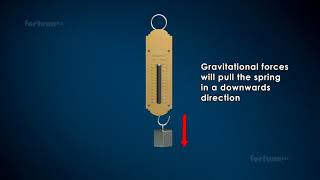 Physics  Grade 8 amp 9 IG  Week 11  Spring Scale Hookes Law [upl. by La Verne]