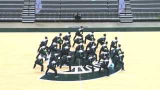 Collegiate Pompon Championship 2014  Michigan State University Pompon [upl. by Perri]