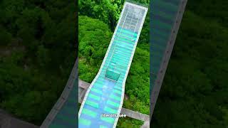 😱 Glass Platform China 🇨🇳✨ MustSee [upl. by Roer]