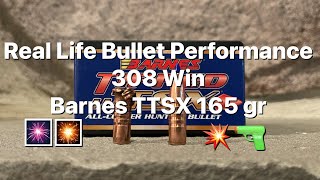 Real world bullet performance 308 Win Barnes TTSX 165 gr [upl. by Norrab291]