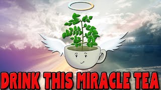 MORINGA TEA is a miracle tea  10 amazing benefits [upl. by Brandwein]