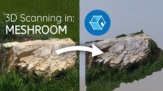 3D Scanning For Free With Meshroom [upl. by Notffilc]