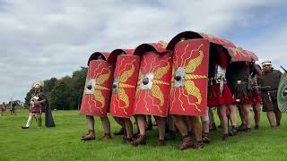 Romans Return to Vindolanda Summer 2024 [upl. by Annawad]