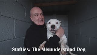 Staffies The Misunderstood Dog  Documentary [upl. by Icul]