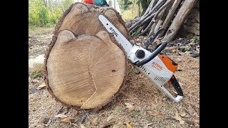 STIHL MSA 140 CBQ Battery Chainsaw Cutting Logs  REVIEW  TEST [upl. by Nylissej664]