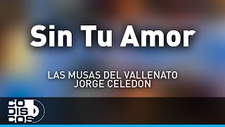 Sin Tu Amor Las Musas Del Vallenato Y Jorge Celedón  Audio [upl. by Kleeman]