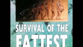 Survival Of The Fattest  Lagwagon  Laymens Terms [upl. by Emeline]