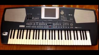 Korg PA500 demo [upl. by Aneda]