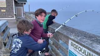 Fishing Jennette’s Pier OBX April 2021 [upl. by Coppins]