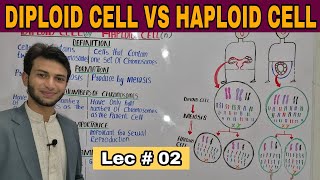 Difference between haploid cell and diploid cell by Muneer Ahmad [upl. by Gaughan]