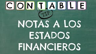 NOTAS A LOS ESTADOS FINANCIEROS ¿QUÉ SON ¿CÓMO SE ELABORAN [upl. by Llien]