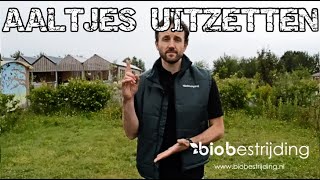 AALTJES INZETTEN HIER DE INSTRUCTIE BIOBESTRIJDING [upl. by Joya]