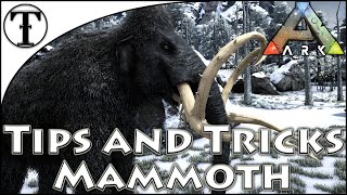 Fast Mammoth Taming Guide  Ark  Survival Evolved Tips and Tricks [upl. by Bander]