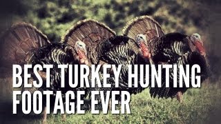 Best Turkey Hunting Footage Ever [upl. by Eilrak]