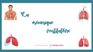 La mécanique ventilatoire la mécanique de la respirationPressions respirationPhysiologie [upl. by Connor240]