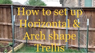 Trellis set up  Complete Guide and Detailed instructions [upl. by Teeniv]