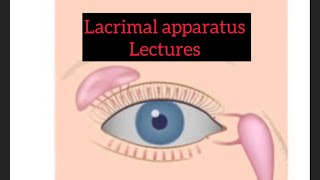 Lacrimal apparatus lectures part 8 Eye lectures  Jatoi eyelectures eye lacrimalgland jatoi [upl. by Celestia]