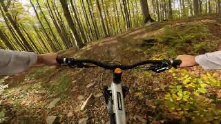 Borsuk  najszybszy bielski dzikus  20102024  GoPro Hero11 Black POV  Enduro MTB [upl. by Eelyrehc]