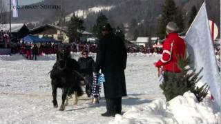 Bäuerliches Schlittenrennen Rottach Egern 2012 [upl. by Coleman]