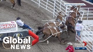 Another horse injured at Calgary Stampedes half mile of hell [upl. by Ahtnamas917]