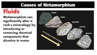 Metamorphism  Second Quarter  Lesson 51  Earth Science [upl. by Atnwahs]