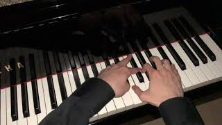 Mephisto Waltz no1 S514 Franz Liszt [upl. by Aluor47]